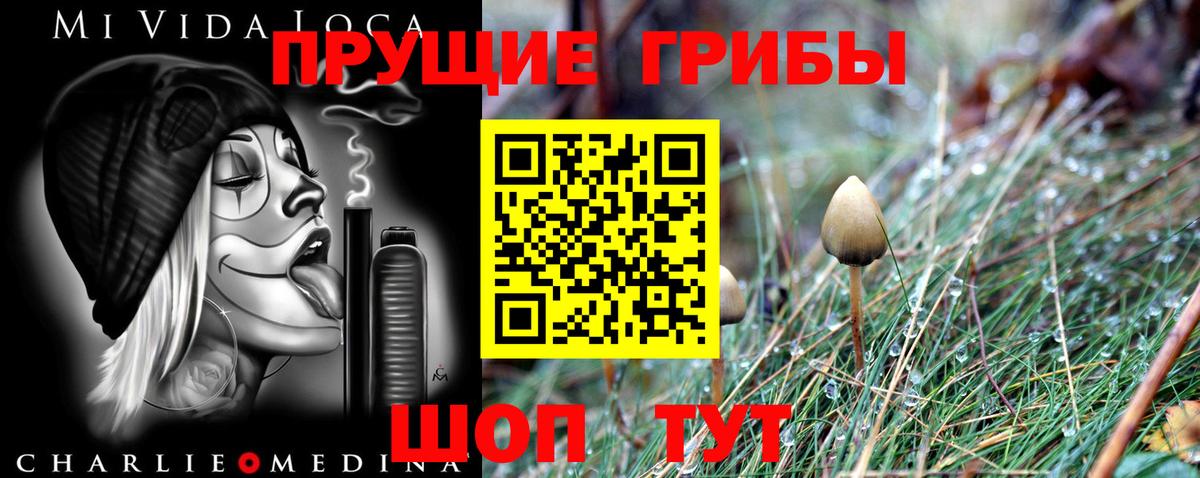 Вичуга  Галлюциногенные грибы прущие грибы  Галлюциногенные грибы мухоморы  Вход с VPN 