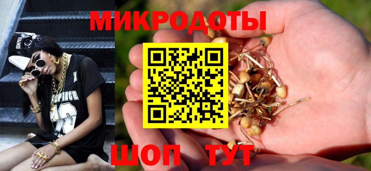 Псилоцибиновые грибы GOLDEN TEACHER Вичуга